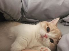 -龟与熊猫宠物公园(南坪店)