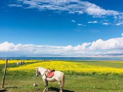 -青海湖国家重点风景名胜区