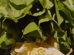 -奔达特色烤牛肉(临河街店)