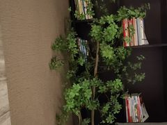 -水墨澜渟足道·SPA·传统(四望亭东关街店)