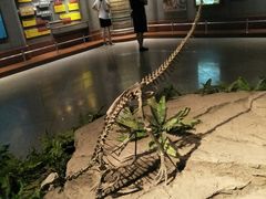 -自贡恐龙博物馆