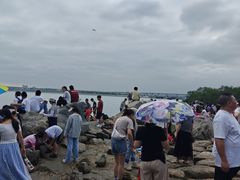 -宝安西湾红树林湿地公园