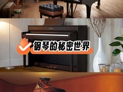-雅歌音乐培训中心·钢琴培训·乐器培训(交道口店)