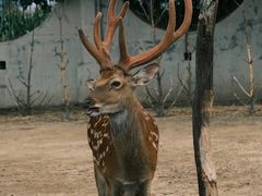 -野鸭湖国家湿地公园