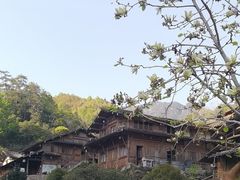 -林坑古村落