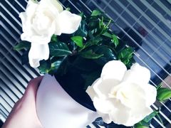 -厦门大西洋天虹百货商场