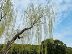 -无锡梅园公园