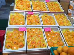 -西归浦每天偶来市场