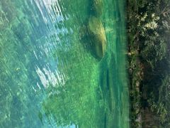 -石台牯牛降景区