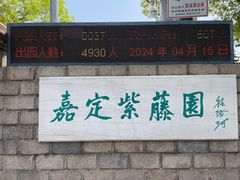 -嘉定紫藤园