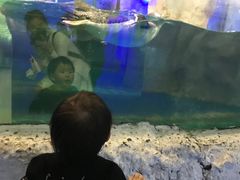 -台州海洋世界