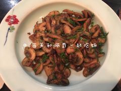 茴香口蘑-薇酌饮·陕西菜(南门外店)
