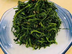清香枸杞苗-国强手抓(北京西路店)