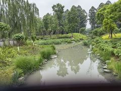 -天府芙蓉园