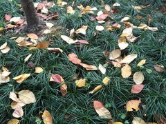 -上海蔡元培故居陈列馆