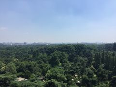 -哈根达斯(绍兴银泰店)