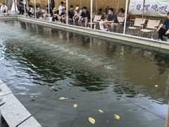 -DGE季风钓虾营地·团建·聚会