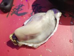 -蚝魁竹笼蒸生蚝 余杭店