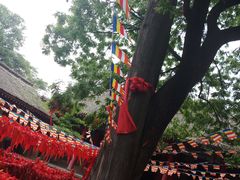-少华山国家森林公园
