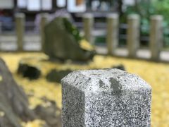 -医王山·飞騨国分寺