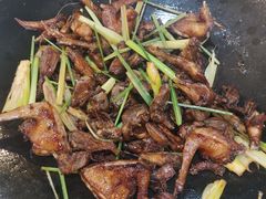-一煲鸽