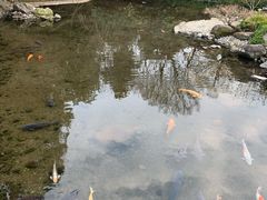 -水前寺成趣园