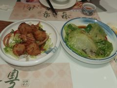 -有心德(麦地店)