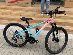 -道路口单车爱瓦士dahon大行