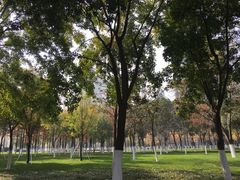-喷泉公园