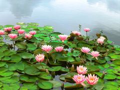 -同济大学(嘉定校区)