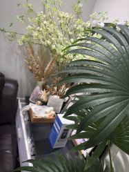 -LEILEI NAIL蕾蕾美甲美睫