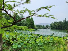 -三垟湿地