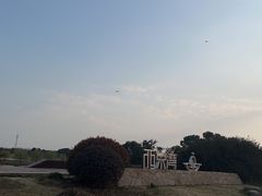 -西京湾花海