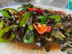 紫苏山坑螺-竹庄餐馆·26年店(南昆山景区店)