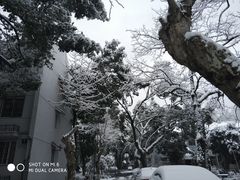 -中国人民解放军联勤保障部队第九〇三医院(九里松院区)