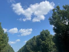 -渌洋湖湿地公园
