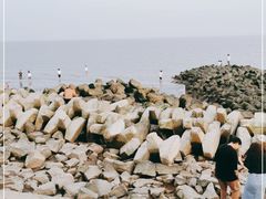 -南汇嘴观海公园