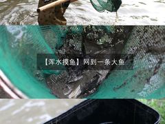 -乌镇东栅景区