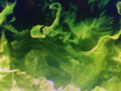 -星海汇海鲜自助烤肉火锅(百大店)