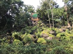 -绿光森林餐厅