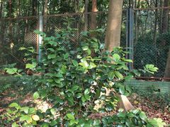 -云溪植物园