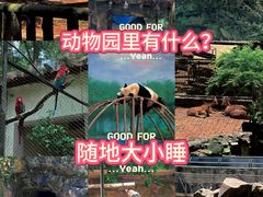 -宁波野生动物园