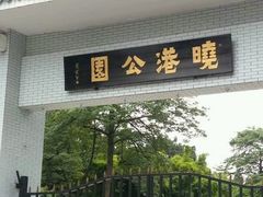 -晓港公园