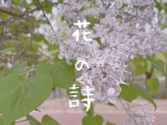 -朝阳公园