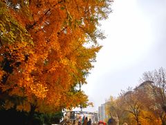 -元大都城垣遗址公园