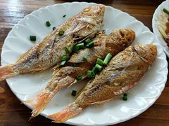 香煎金线鱼-村巴老咖啡