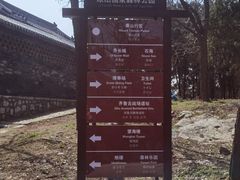 -原山国家森林公园