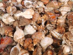 -马王堆海鲜水产市场