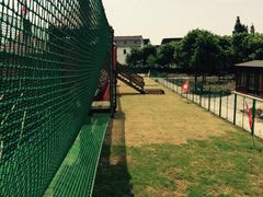 iphone_upload_pic-鹅湖玫瑰文化园