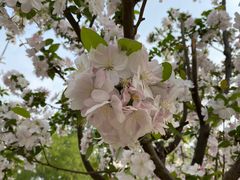 -元大都城垣遗址公园